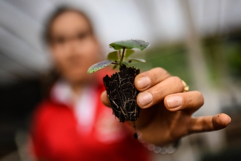 Acción por el ambiente: Gestión de espacios culturales sustentables
