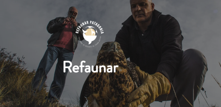 Se asocian para trabajar a favor de la Biodiversidad en Puerto Madryn