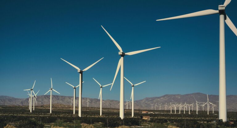 El 2023 marcó un récord en el crecimiento de la energía eólica a nivel mundial