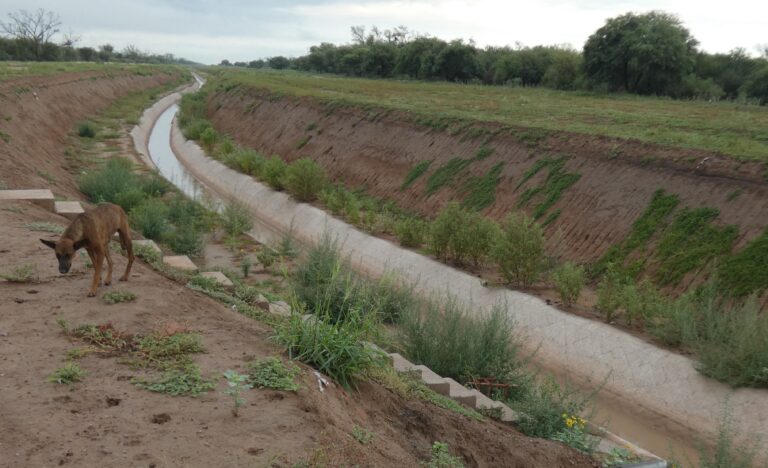 Organizaciones ambientales exigen acción urgente en el Canal de la Patria
