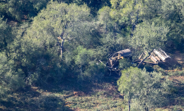 Alertan por el aumento de los desmontes en el norte del país