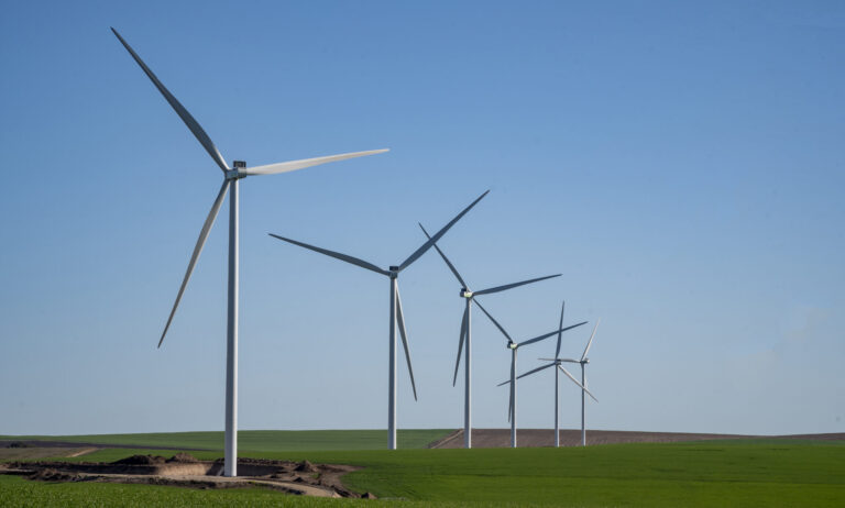 Generaron energías limpias para un millón de hogares en 8 parques eólicos y 3 solares
