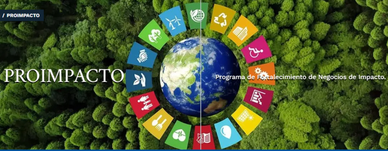 Lanzan PROIMPACTO y premiarán a emprendedores sostenibles