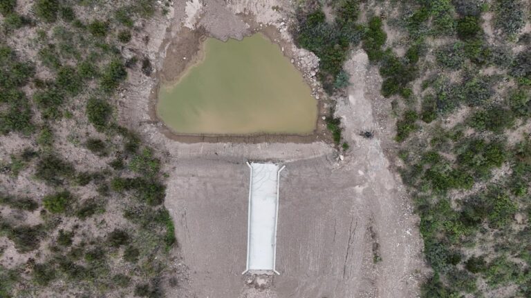 Logran eficiencia hídrica utilizando un método ancestral de recolección de agua