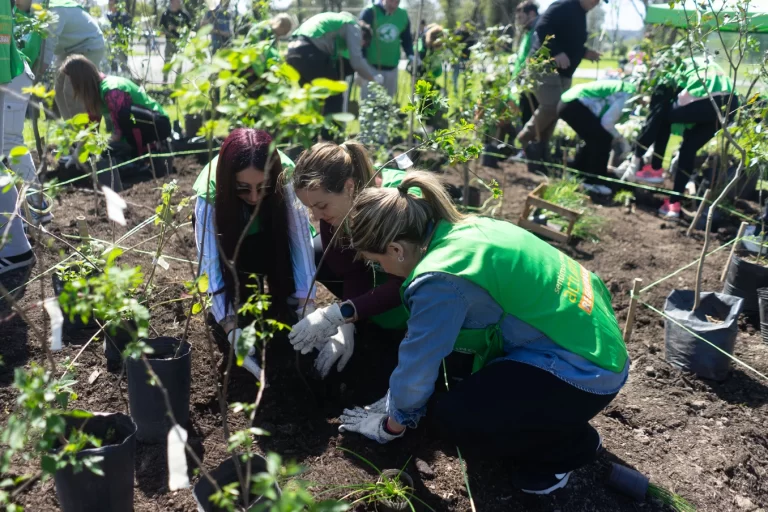 Crean microbosques urbanos e impactan en la salud y el ambiente
