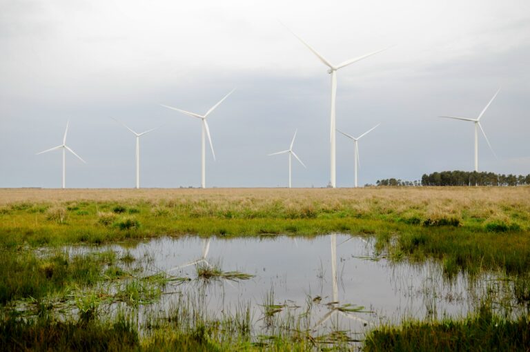Media sanción para la ley que favorece las inversiones en energías renovables
