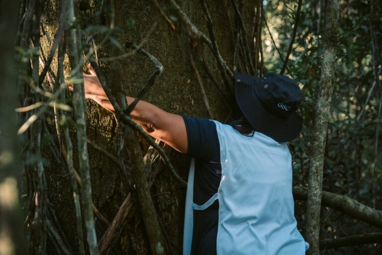 Triplican las hectáreas protegidas en la Selva Misionera
