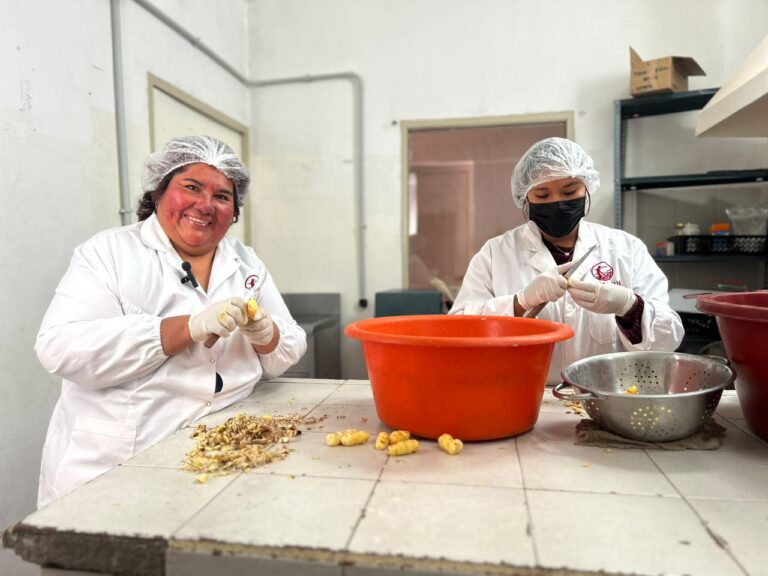 Treinta años de cooperación y cultivos andinos llegan a una final internacional