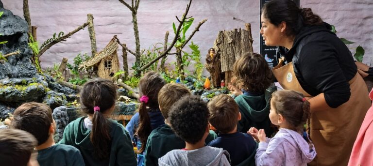 Cómo transformar el patio escolar en un espacio de aprendizaje